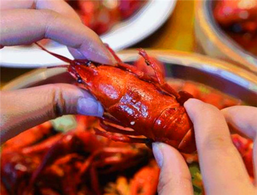 光頭強(qiáng)龍蝦