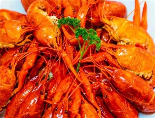 蝦行天下小龍蝦