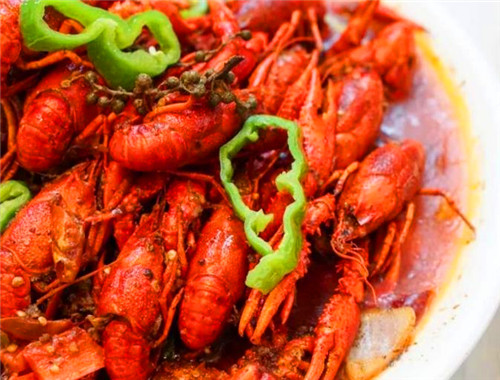 蝦行天下小龍蝦