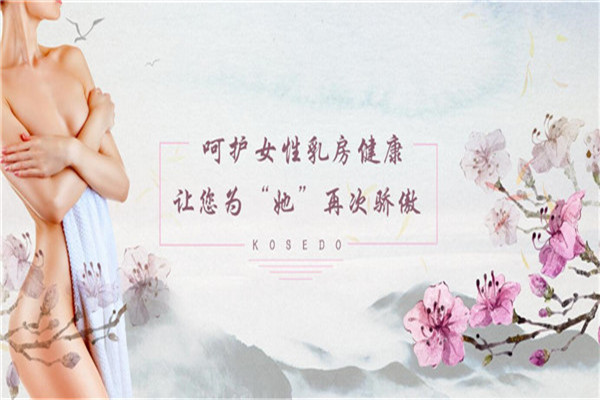 護(hù)胸衛(wèi)隊(duì)