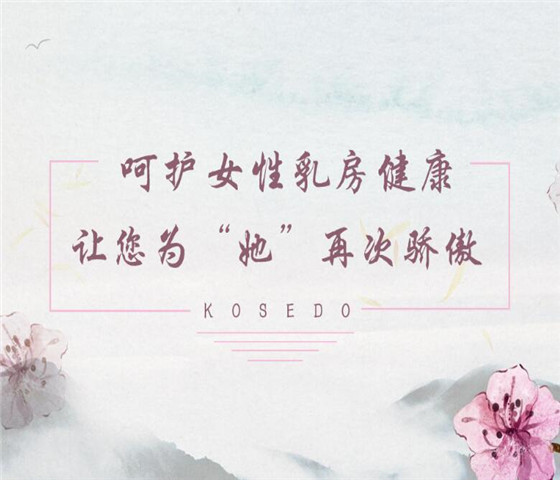 護(hù)胸衛(wèi)隊(duì)