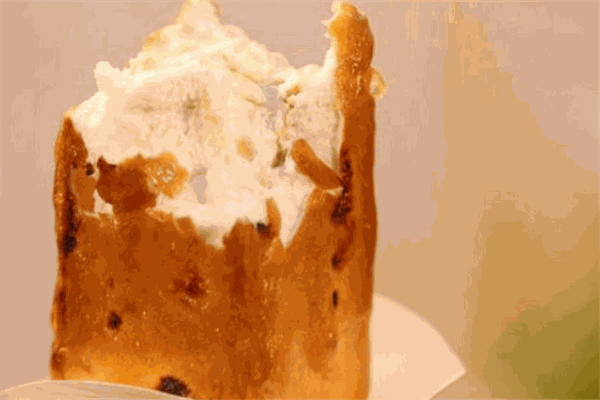 smore摩爾火烤冰淇淋