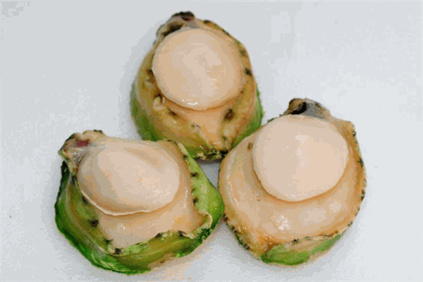 海味軒青邊鮑魚