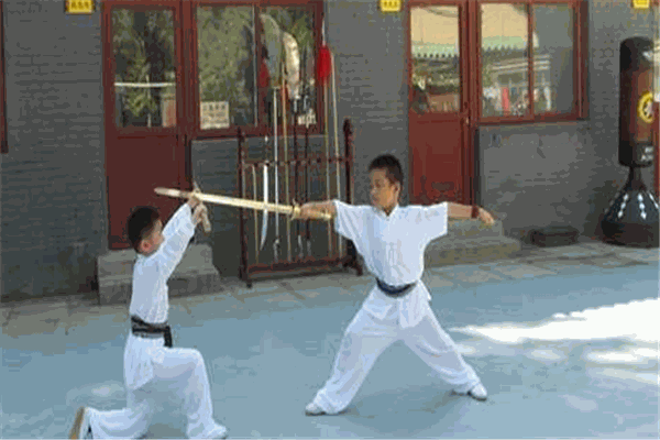 新武門國際雙語少兒武術(shù)早教