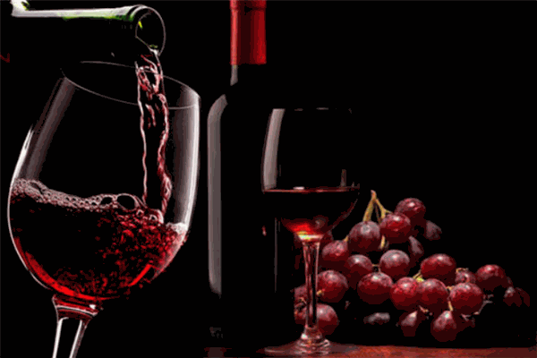 貴人康葡萄酒業(yè)