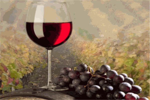 杜赫美侖拉菲葡萄酒