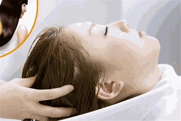 子胥護(hù)發(fā)養(yǎng)發(fā)