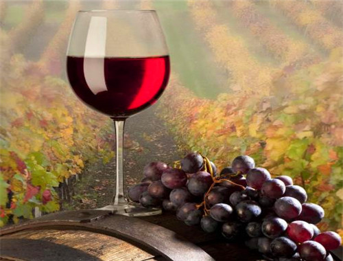 美卡思葡萄酒