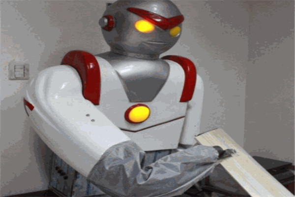 賽勞特刀削面機(jī)器人