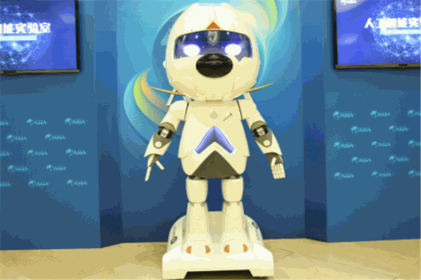 汪仔機(jī)器人