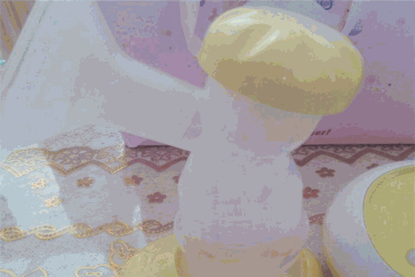 貝嬰家園母嬰生活館