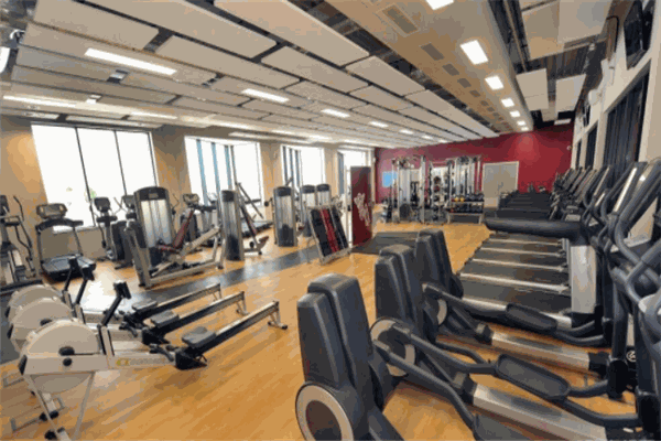 水熊運(yùn)動(dòng)共享健身