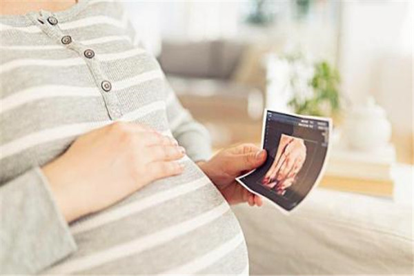 優(yōu)樂(lè)佳胎教