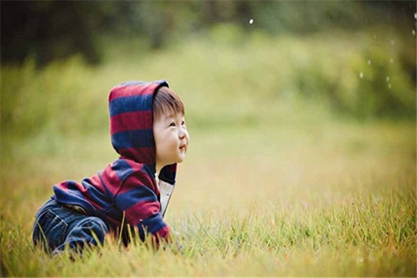 螞蟻大象兒童攝影