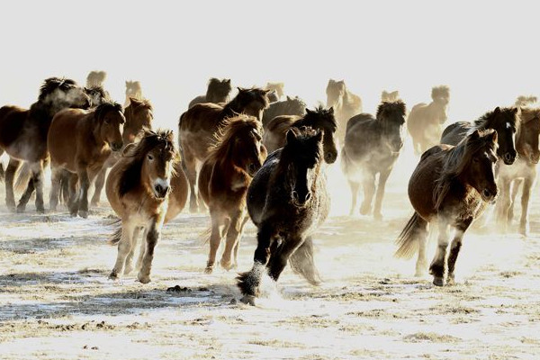 歐美風(fēng)情特技攝影