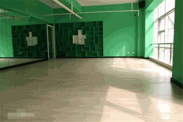 美斯舞蹈藝術(shù)培訓(xùn)