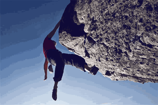 許愿樹(shù)教育