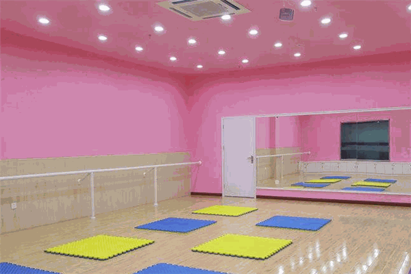 雅蕾舞蹈藝術(shù)培訓(xùn)