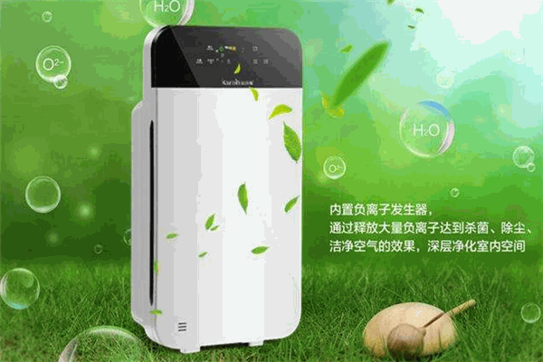 花兵衛(wèi)空氣凈化