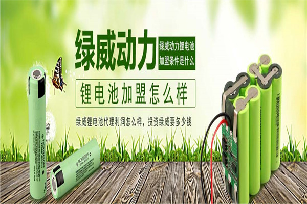 綠威動(dòng)力鋰電池