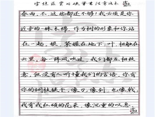 字志區(qū)練字