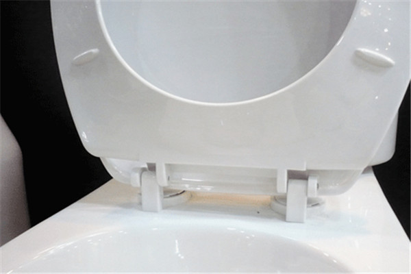 美標(biāo)馬桶水箱蓋