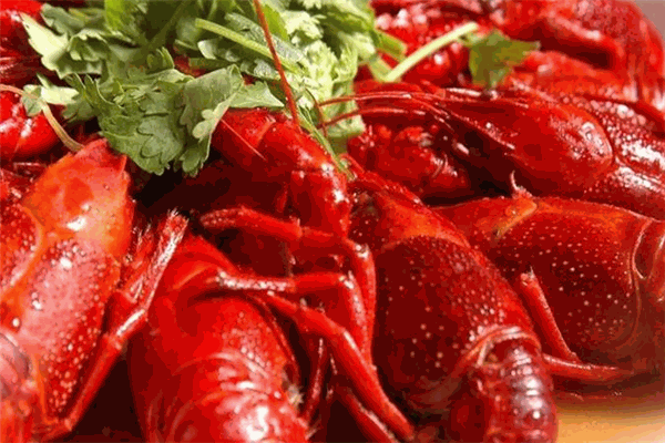 俏龍蝦江湖藝廚