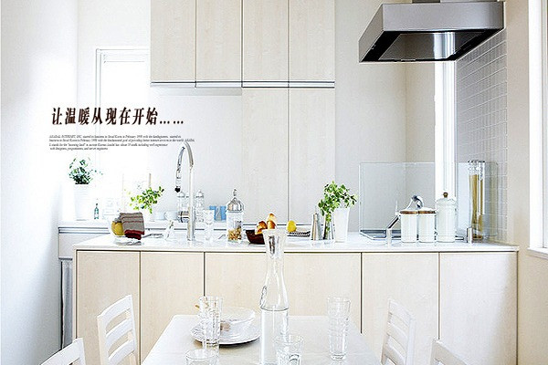 樂宜嘉廚衛(wèi)電器