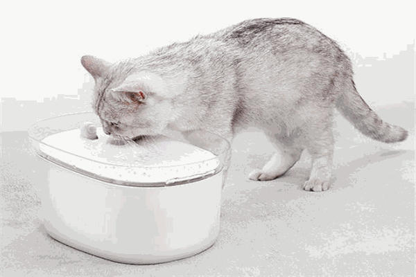 愛斯恩磁能活水器