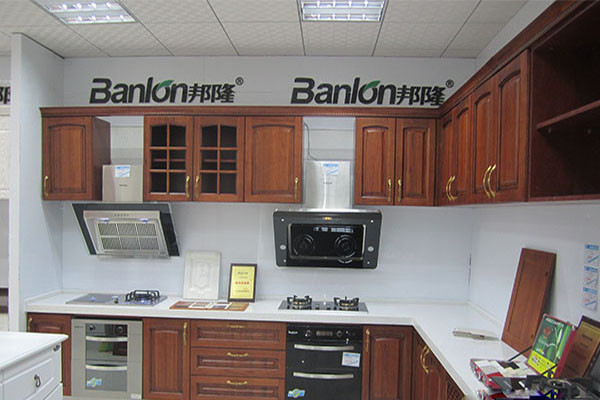 邦隆廚衛(wèi)電器