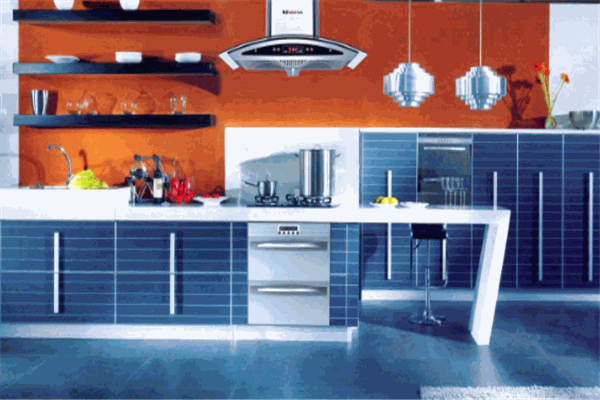 邦隆廚衛(wèi)電器