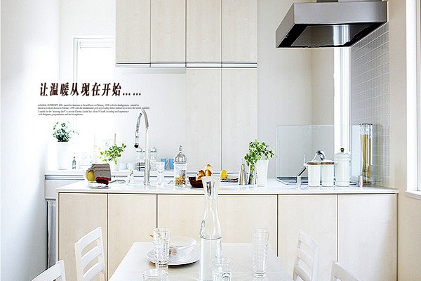 雙喜廚衛(wèi)電器