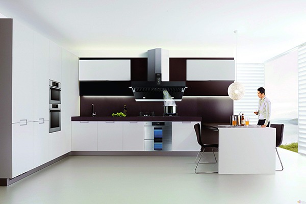 雙喜廚衛(wèi)電器