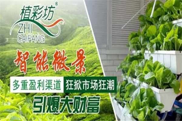 植彩坊智能園藝機(jī)