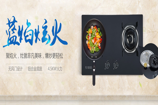 獅強(qiáng)廚衛(wèi)電器