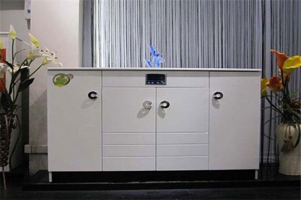 半邊天智能電子消毒鞋柜