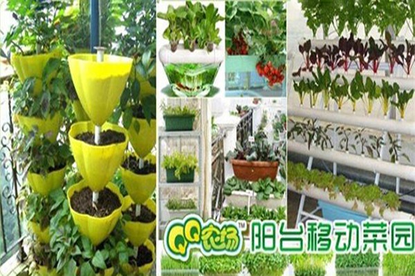 QQ農(nóng)場生態(tài)工坊