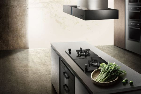 阿詩丹頓吸油煙機