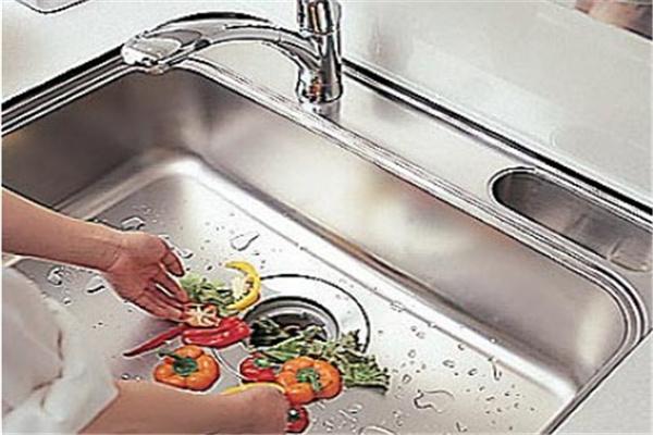 樂潔士垃圾處理器