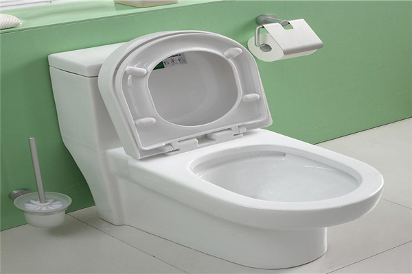 諾奇爾座便器