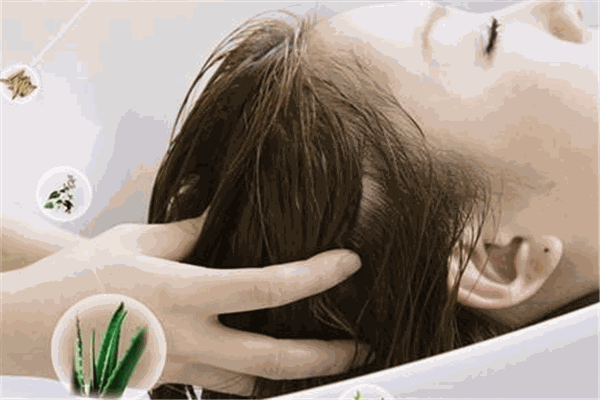 奧麗芙發(fā)裝