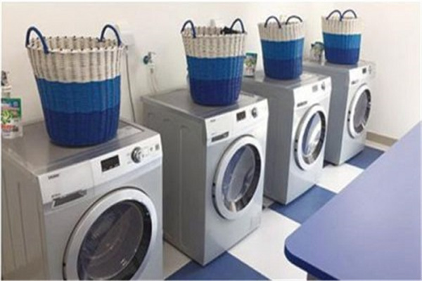 企鵝共享洗衣房