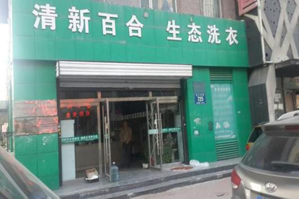 清新百合生態(tài)洗衣