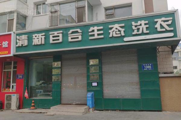 清新百合生態(tài)洗衣