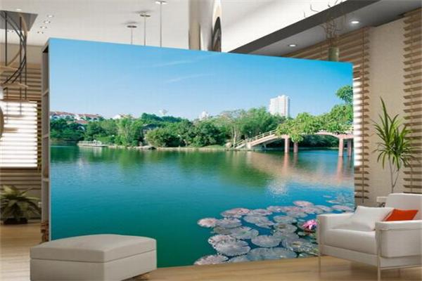 布吉極限全景畫