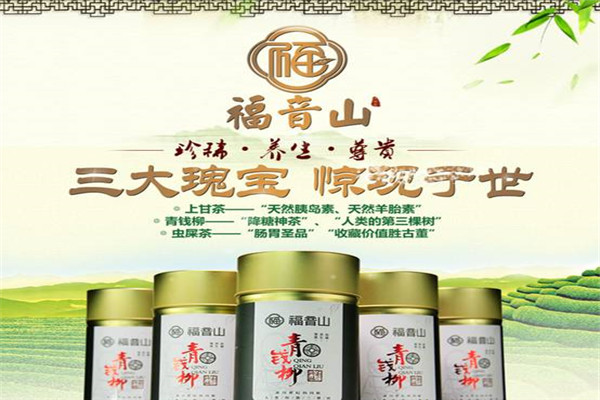 福音山養(yǎng)生茶