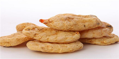 巨豐一號(hào)天麻