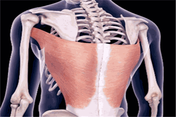 脊復康正骨養(yǎng)生館