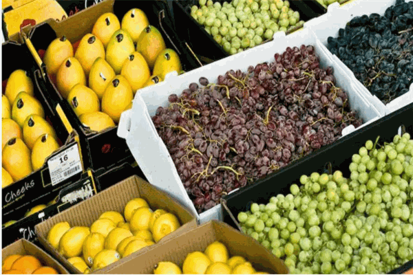 東風(fēng)農(nóng)場(chǎng)