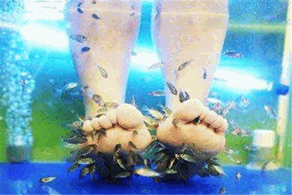 魚之吻魚療養(yǎng)生館